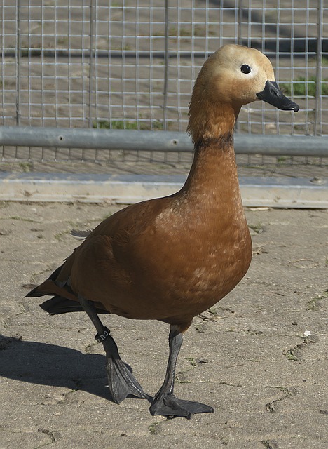 清醒认识