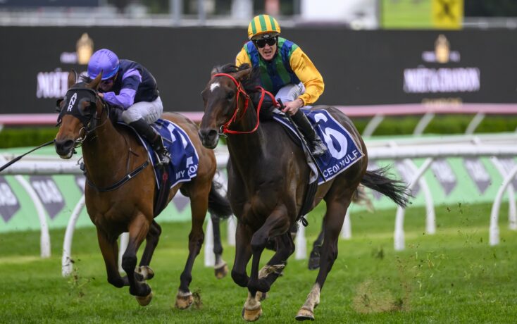 面对埃弗顿 面对埃弗顿