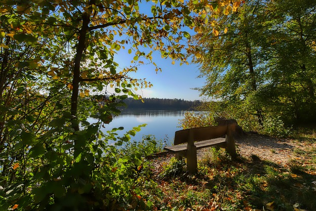 挥也十分亮 挥也十分亮