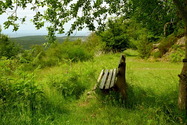 即将到来的 即将到来的